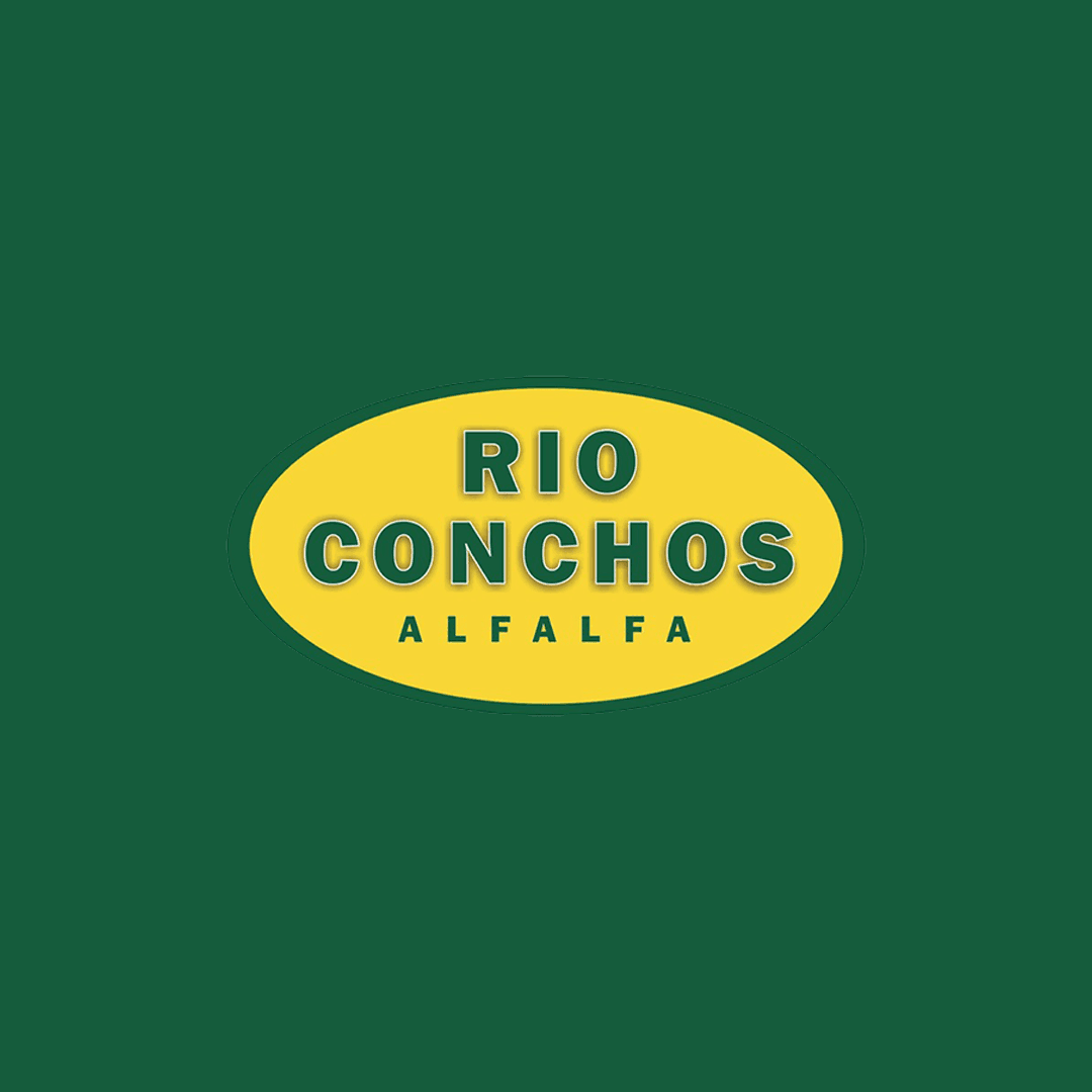 RIO CONCHOS