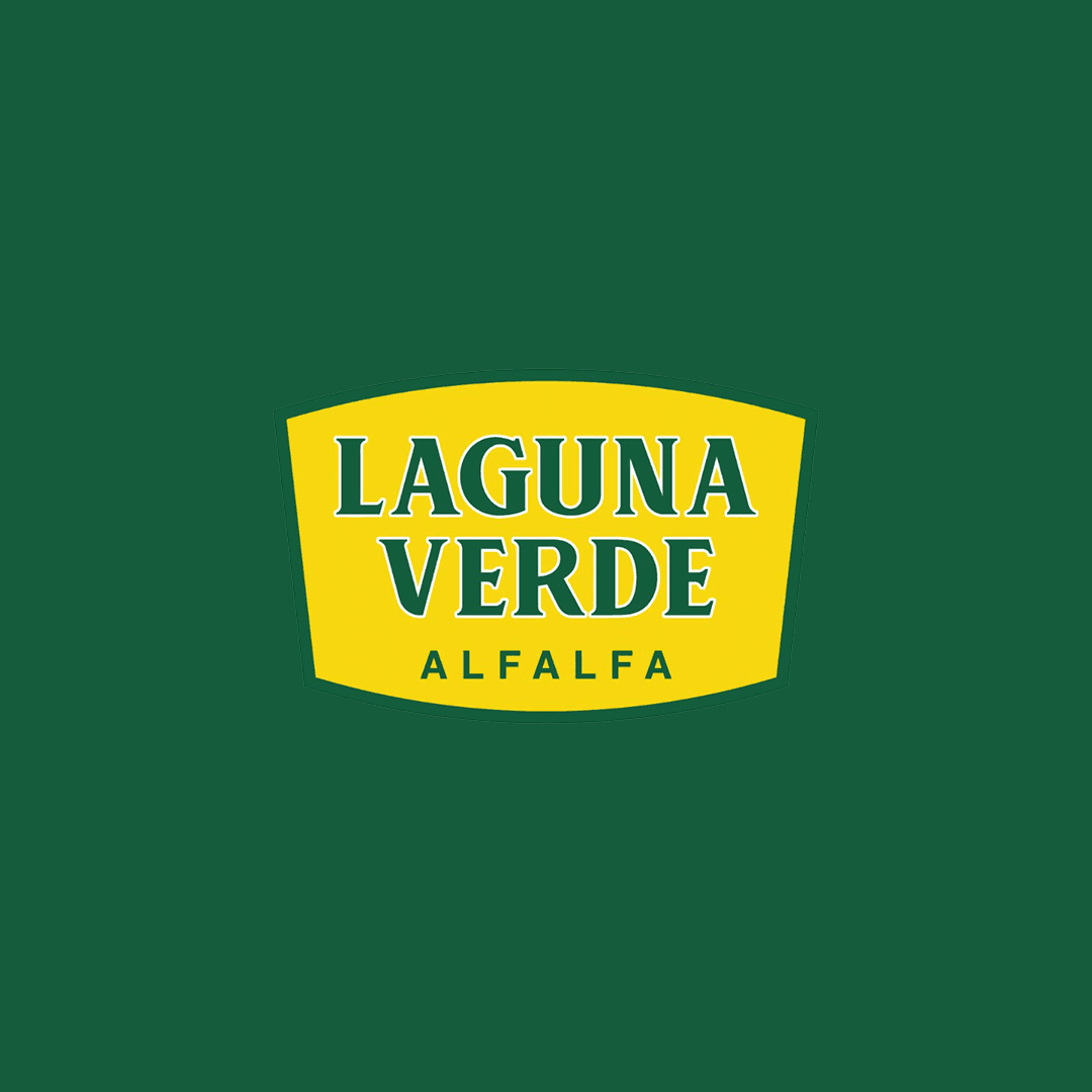 LAGUNA VERDE