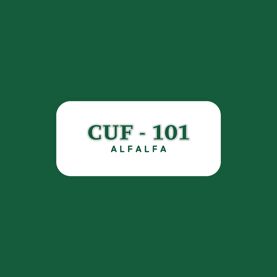 CUF-101
