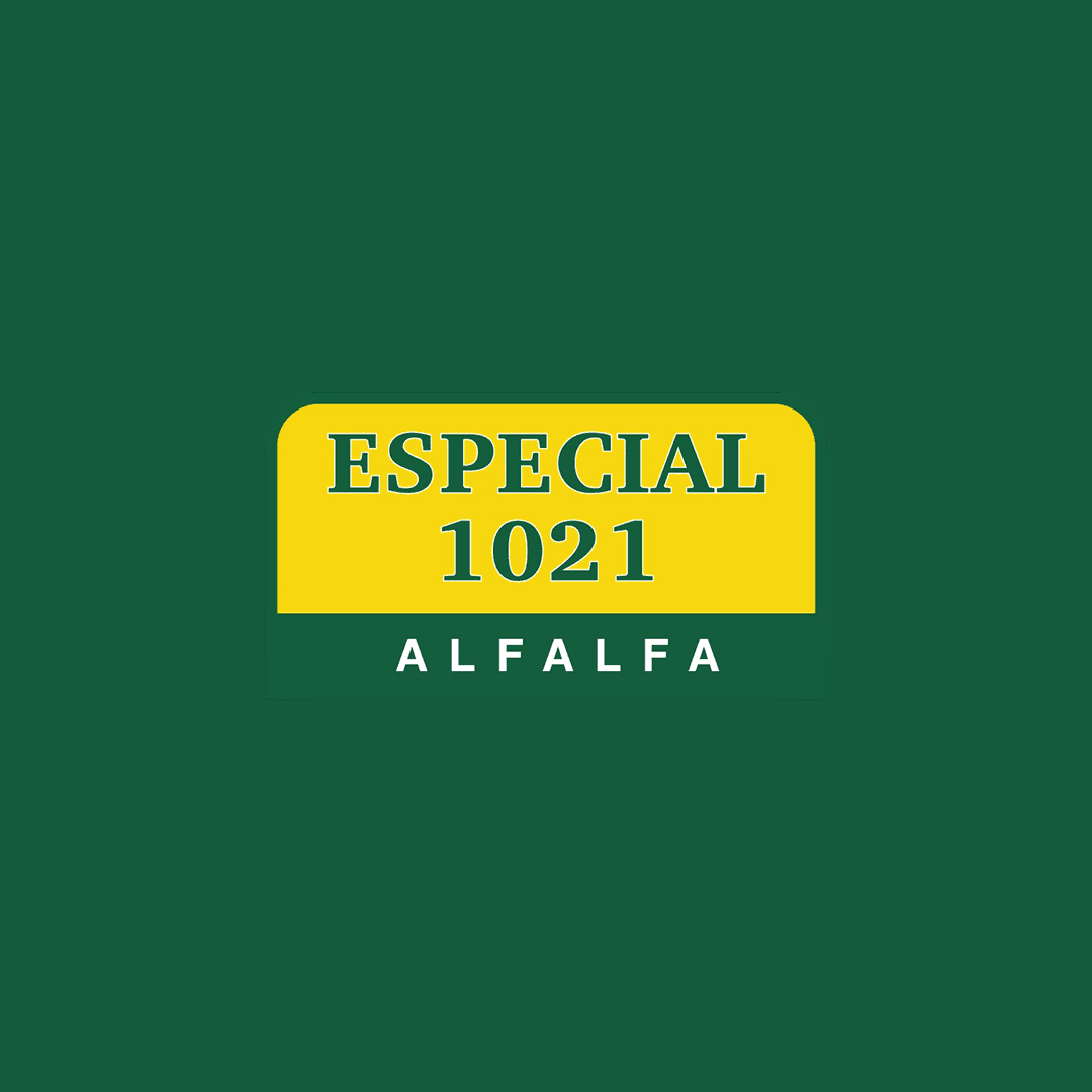 ESPECIAL 1021